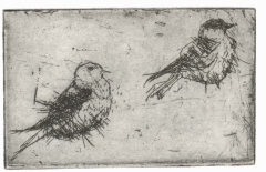 birds_intaglio_35x55mm