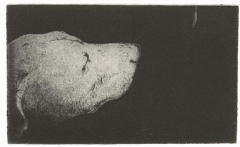 dog_intaglio_33x63mm