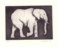elefant
