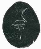 flamingo_woodengraving_58x46mm